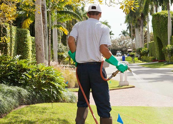 About Tyrone OK Pest Control